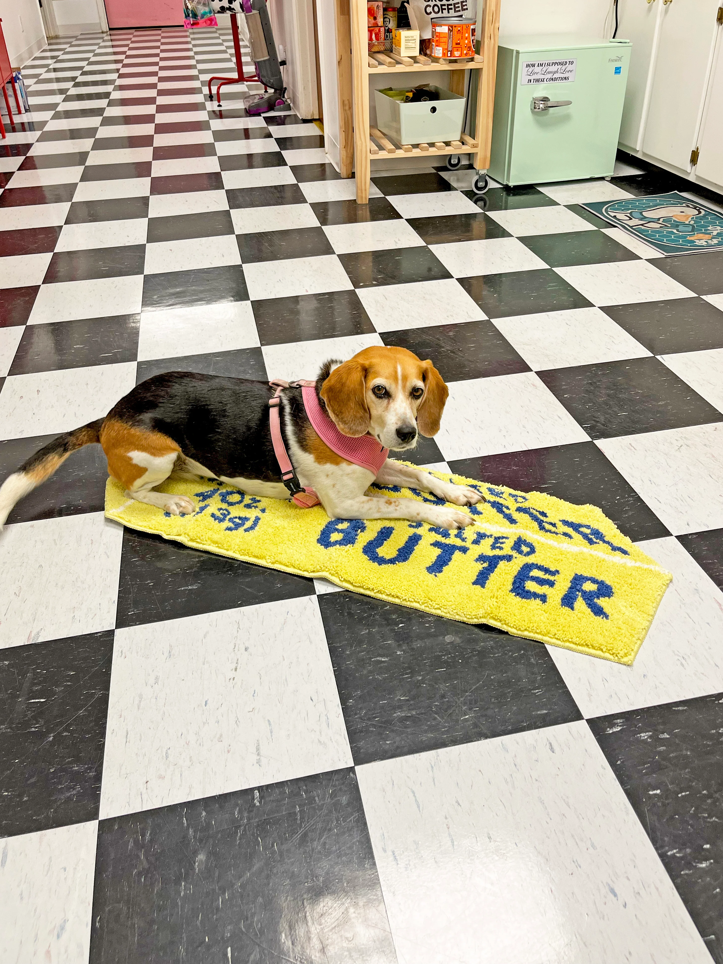 Butter Rug - Image 4