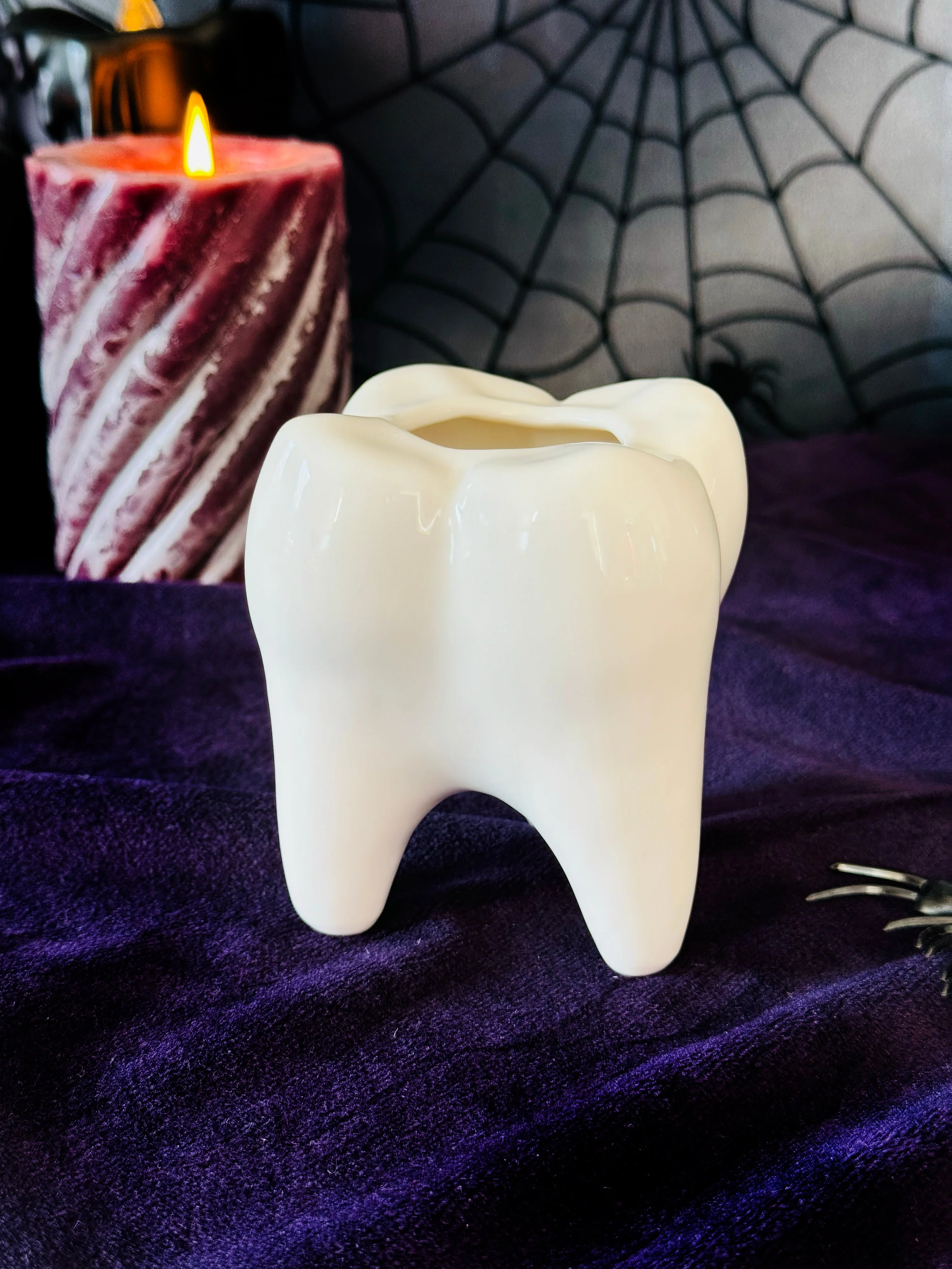Tooth Ash Tray - Image 7