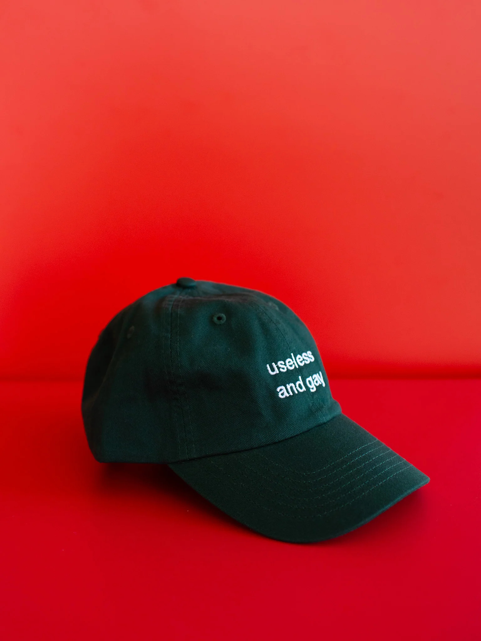 Useless and Gay Hat - Image 3